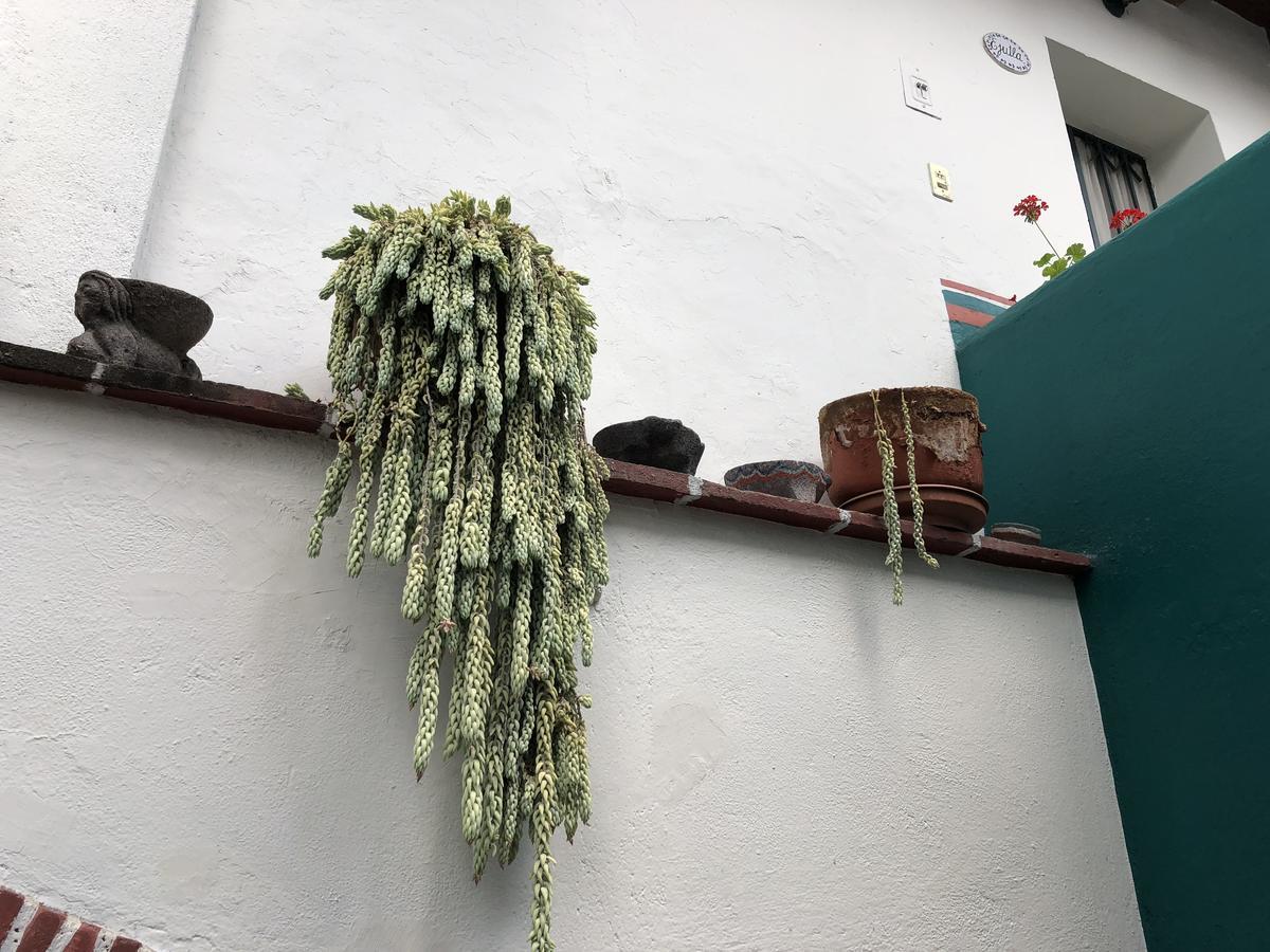 Apartmán Meson Del Penasco Oaxaca Exteriér fotografie