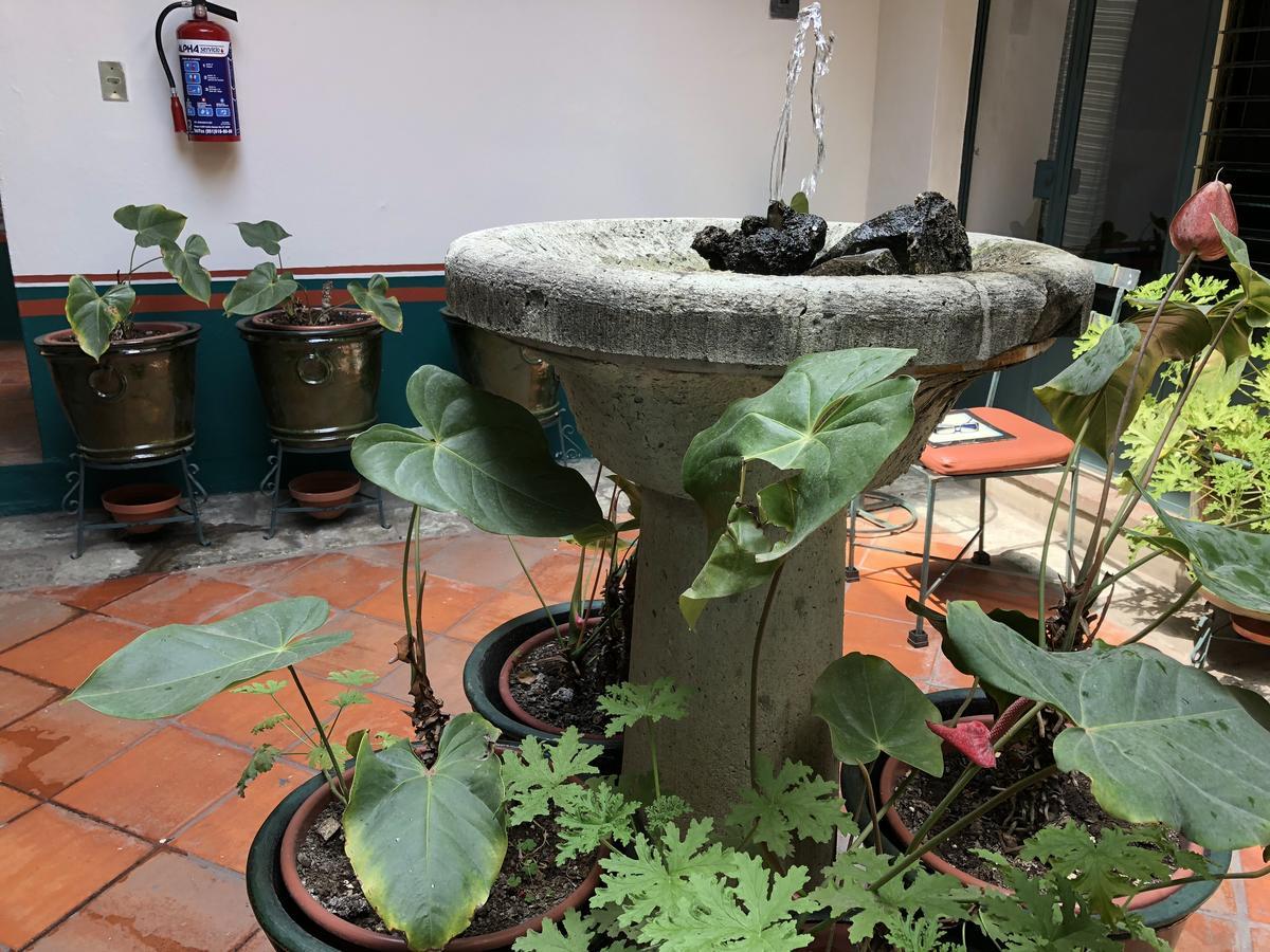 Apartmán Meson Del Penasco Oaxaca Exteriér fotografie